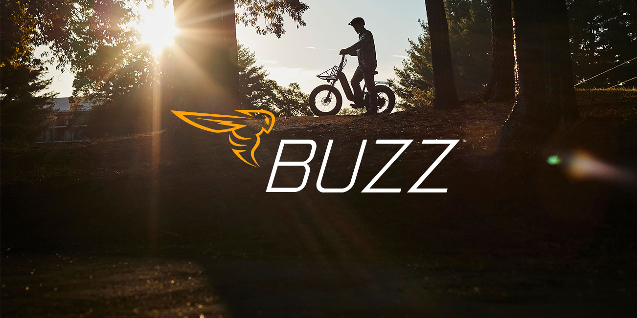 Buzz Bicycle eBike Company